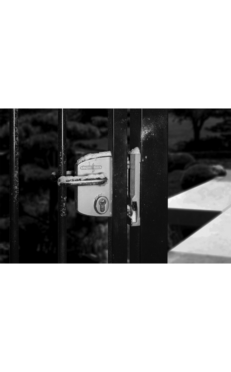 Tout savoir sur les Serrures Locinox : Le Choix Idéal pour la Sécurité et la Durabilité